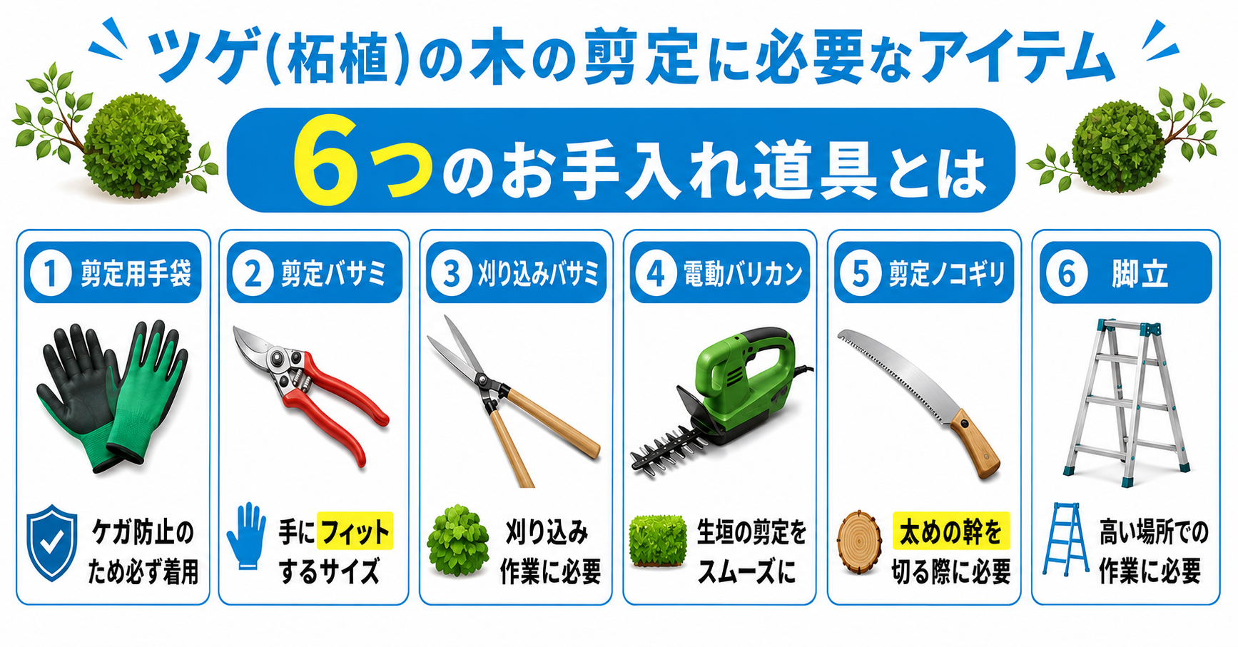 ツゲ(柘植)の木の剪定に必要なアイテム