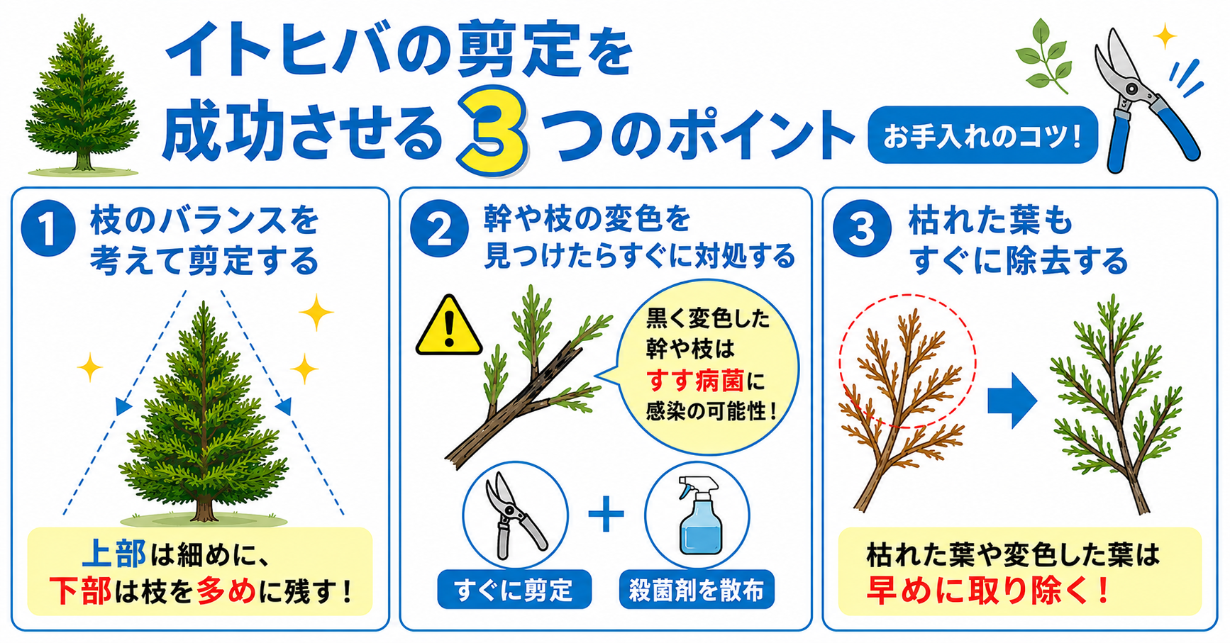 イトヒバの剪定を成功させる3つのポイント【お手入れのコツ!】