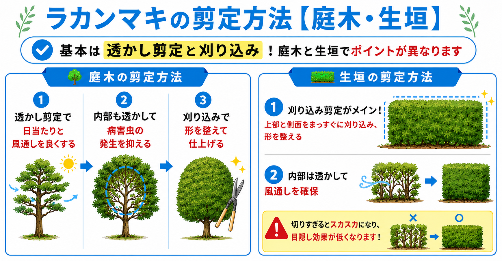 剪定図解付き】ラカンマキの剪定パーフェクトガイド！適した時期やお