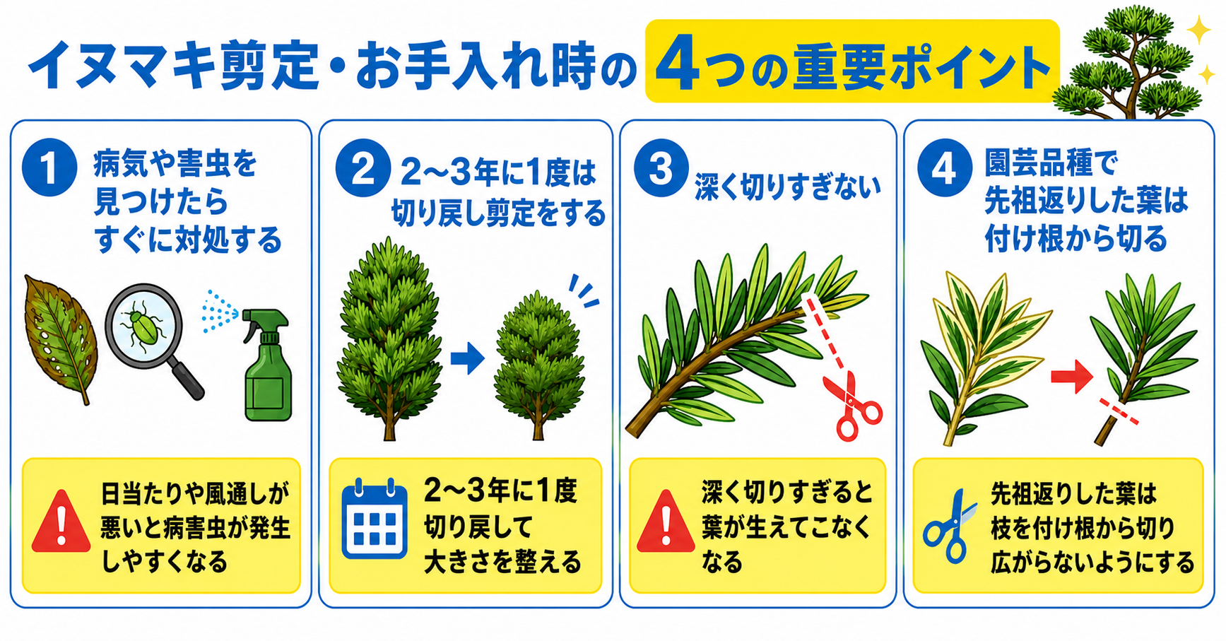 イヌマキの剪定方法