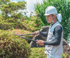 ツツジを剪定する男性業者