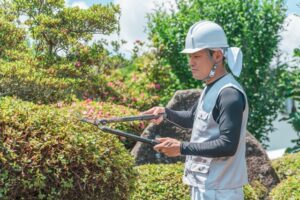 ツツジを剪定する男性業者
