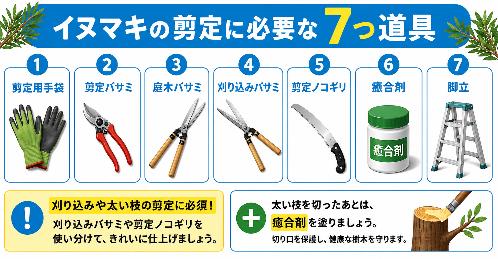 イヌマキの剪定に必要な道具