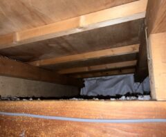 掃除料金を調べている屋根裏