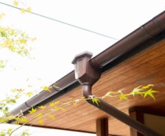 ダスキンに掃除依頼を検討している雨樋
