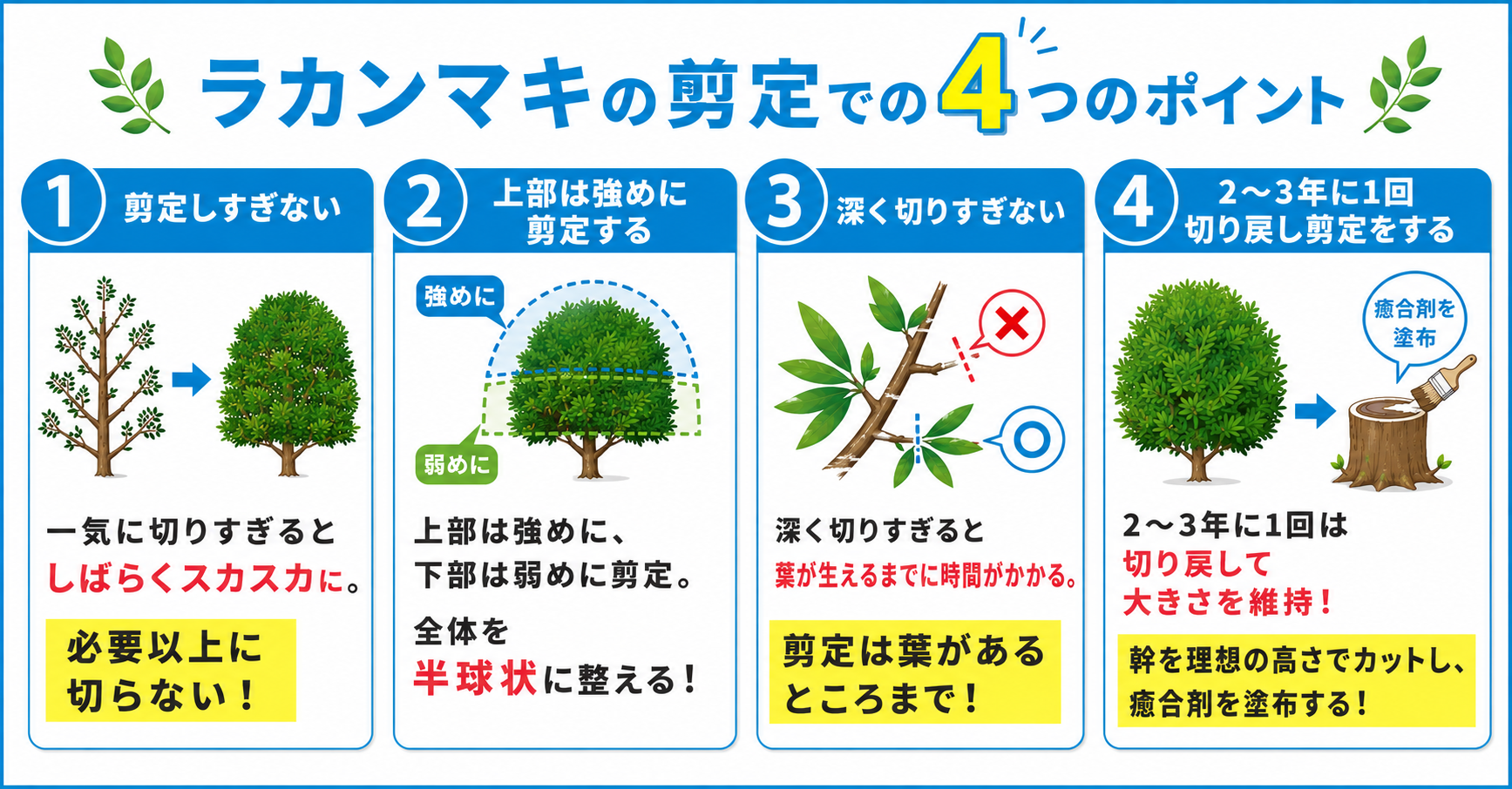 ラカンマキの剪定のポイント