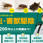 株式会社イイネクルー