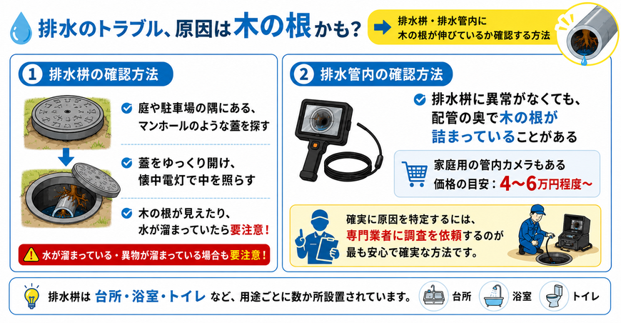 侵入した木の根を確認する方法