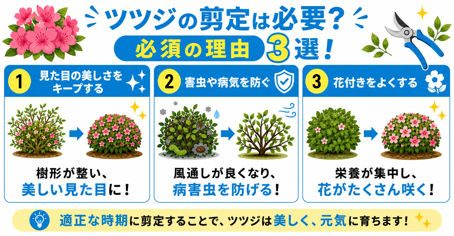 ツツジに剪定が必要な理由