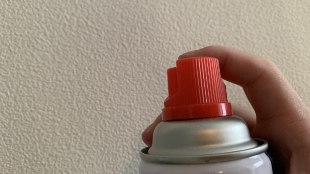 ムカデ見失った