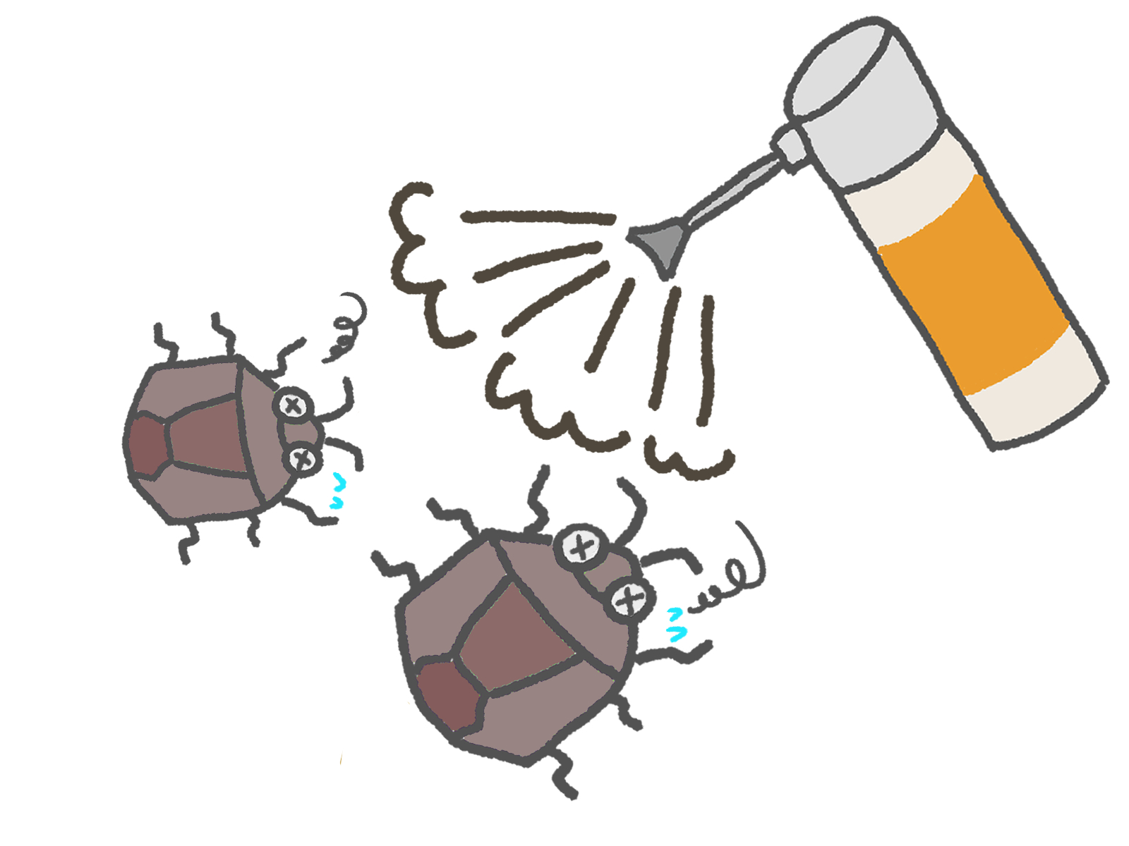 カメムシ駆除業者