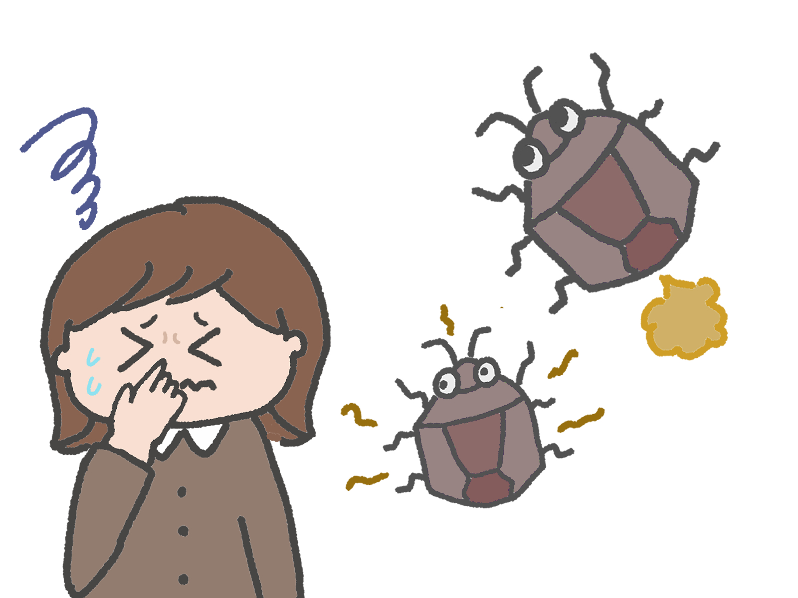 カメムシの駆除料金相場を徹底解説！業者の選び方や自分でできる予防策も
