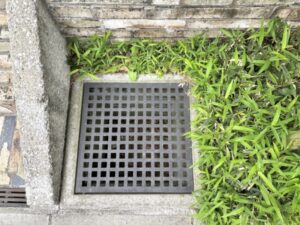 配管の木の根の除去方法