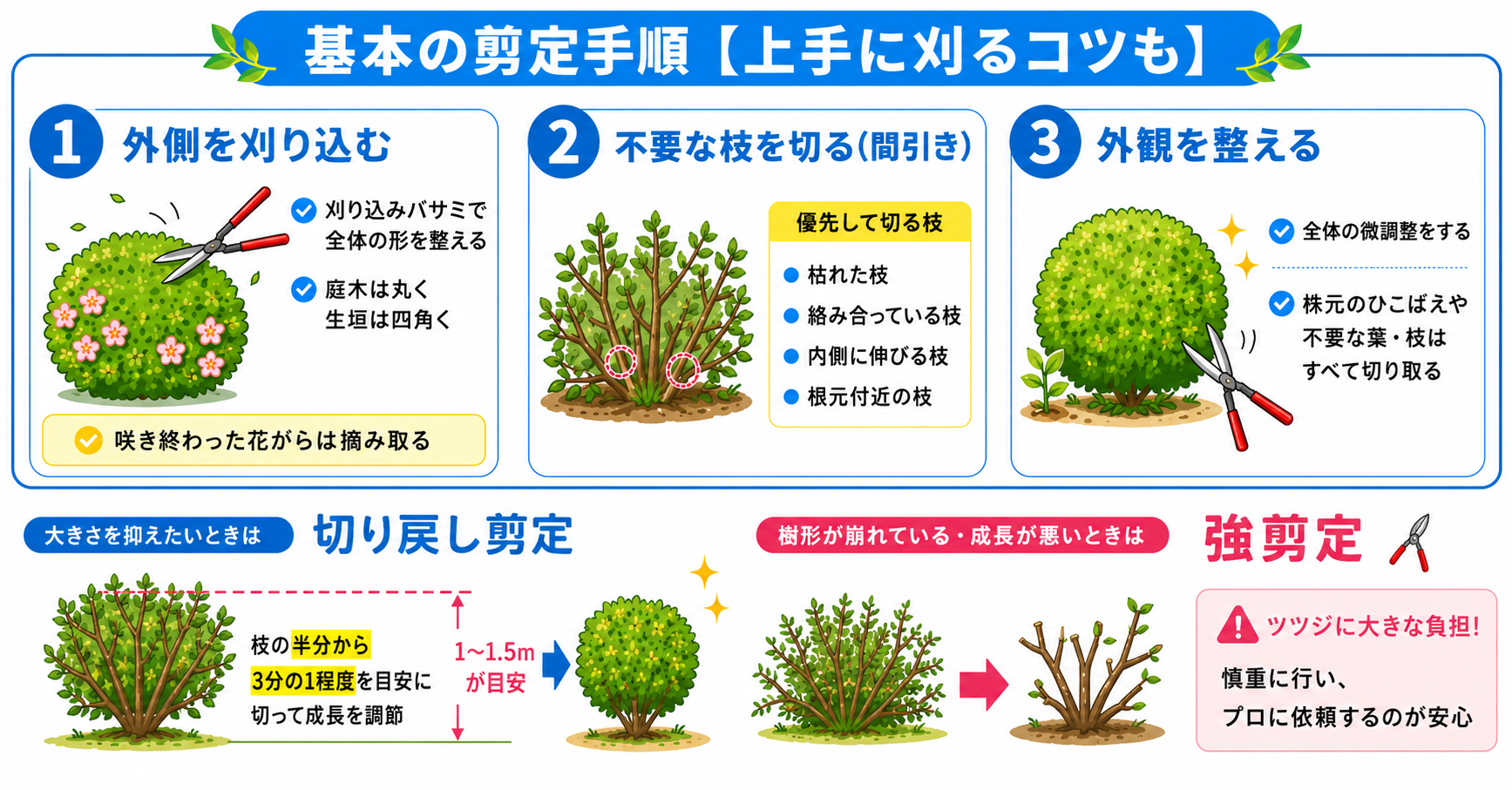 ツツジの剪定方法
