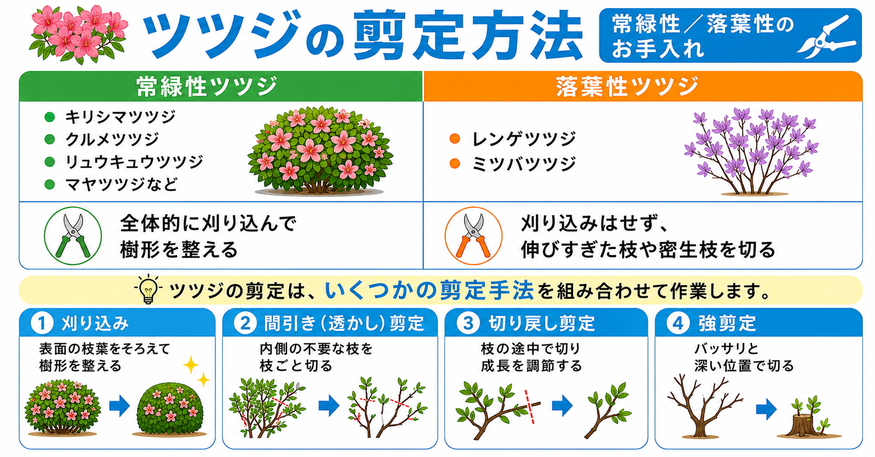 ツツジの剪定方法