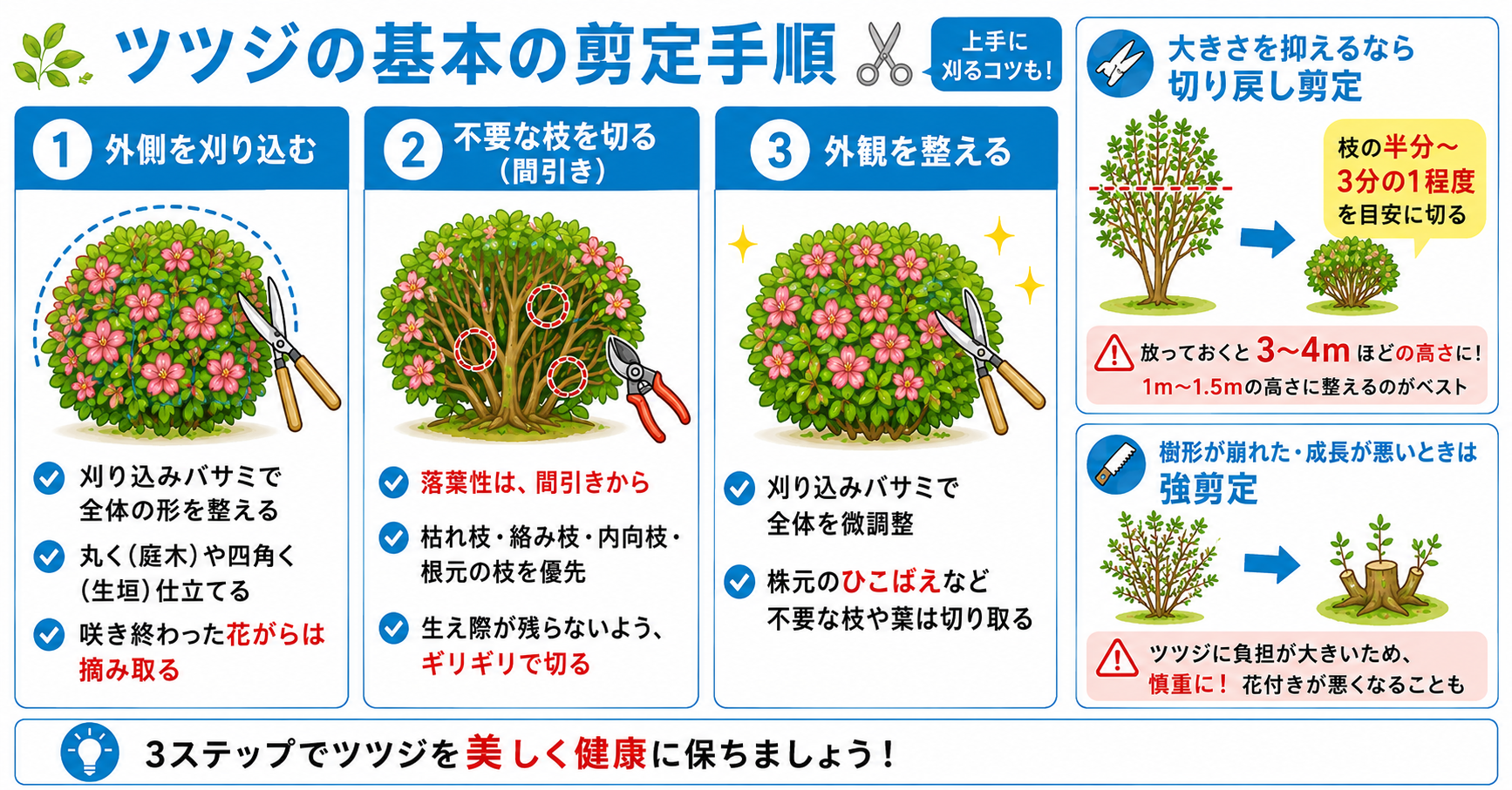 ツツジの剪定で自然樹形を保つ方法