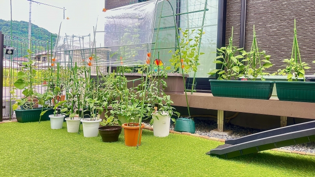 ゴキブリが出るデメリットがあるかもしれない人工芝