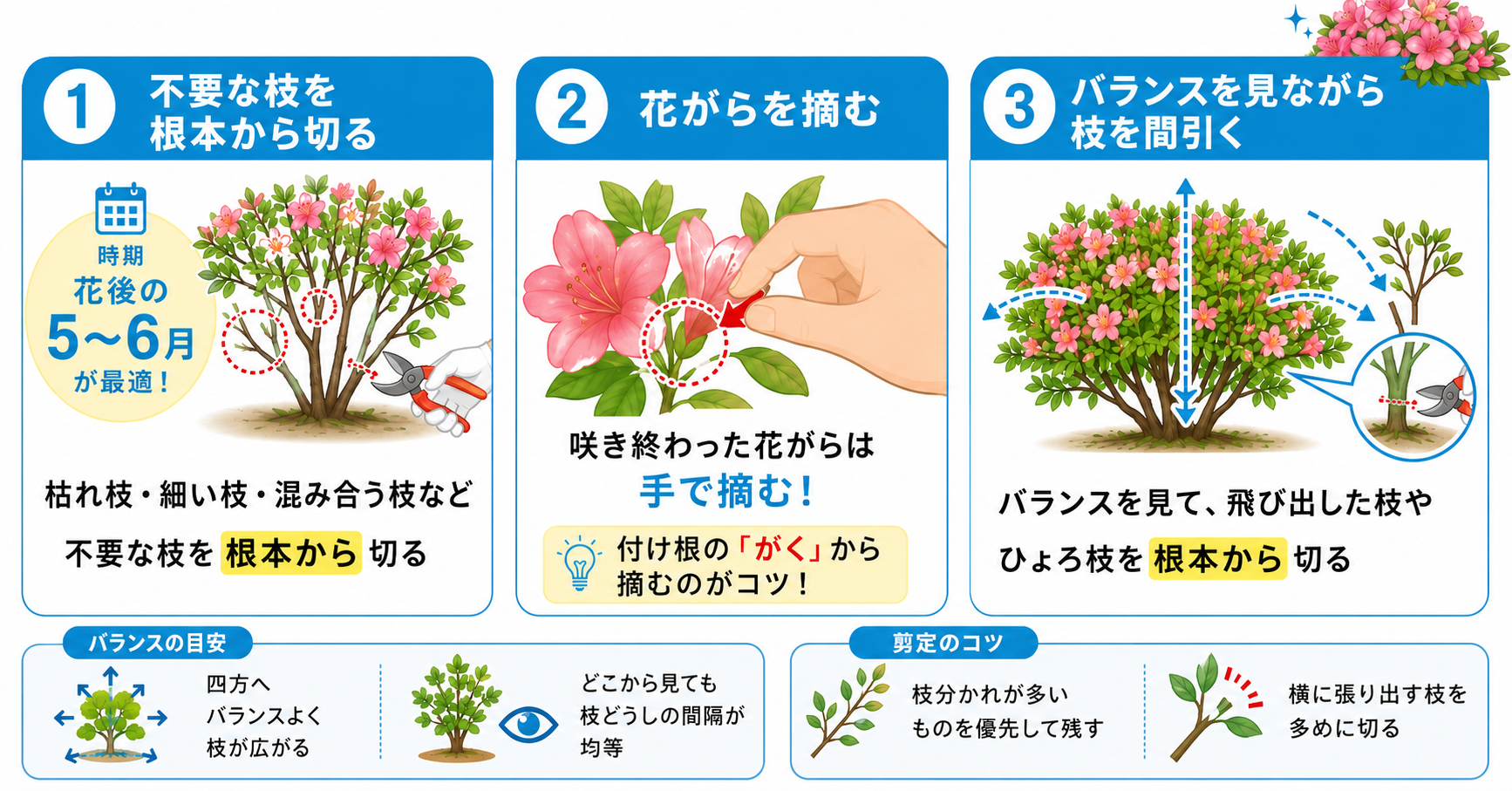 ツツジの剪定で自然樹形を保つ方法