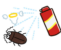 卵を産んだゴキブリを駆除している様子