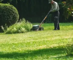 草刈業者