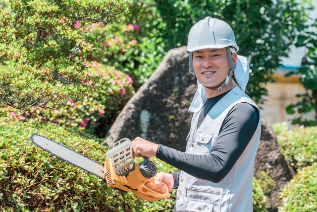 評判が良い伐採グループのスタッフ