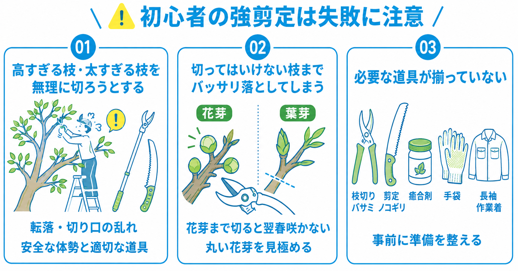 梅をバッサリ剪定する際に起こりやすいミス