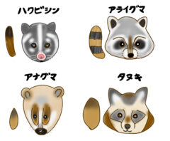 たぬきハクビシンアライグマナグマ