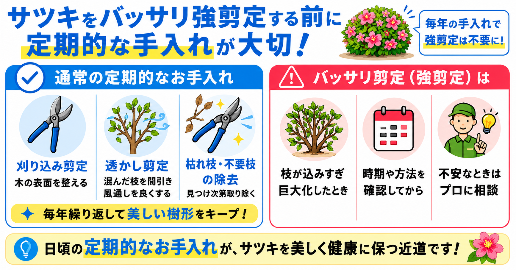 サツキをバッサリ強剪定する前に定期的な手入れが大切！通常剪定と強剪定の違いも