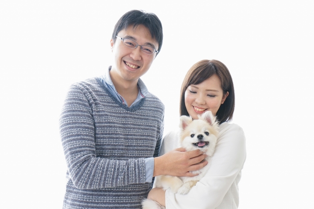 部屋に染み付いたペットの臭いを消す方法を調べている人たちとペット