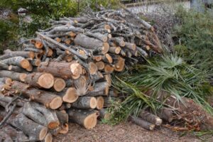 伐採後に積み上げられた丸太の山