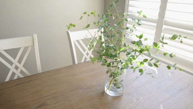 窓辺のテーブルに置かれた観葉植物
