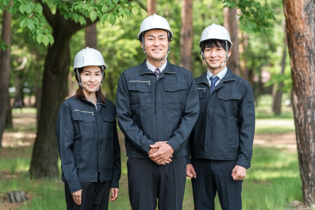 庭木剪定の作業員たち