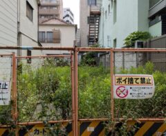 空き地の草刈り