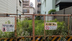 空き地の草刈り