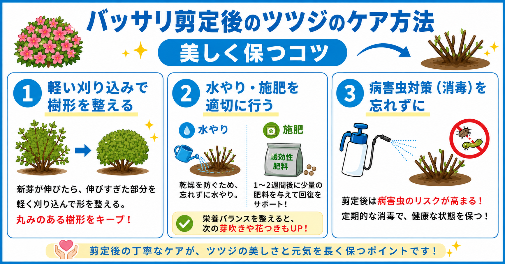 剪定後にツツジ美しく保つコツ