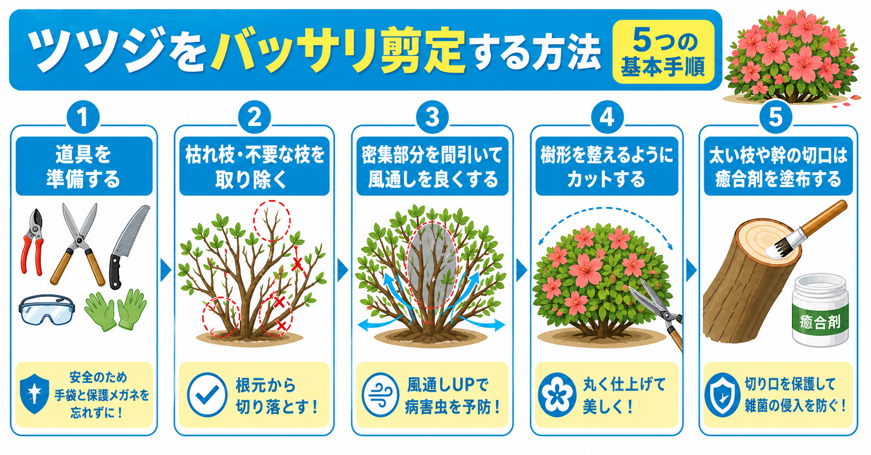 ツツジをバッサリ剪定する方法