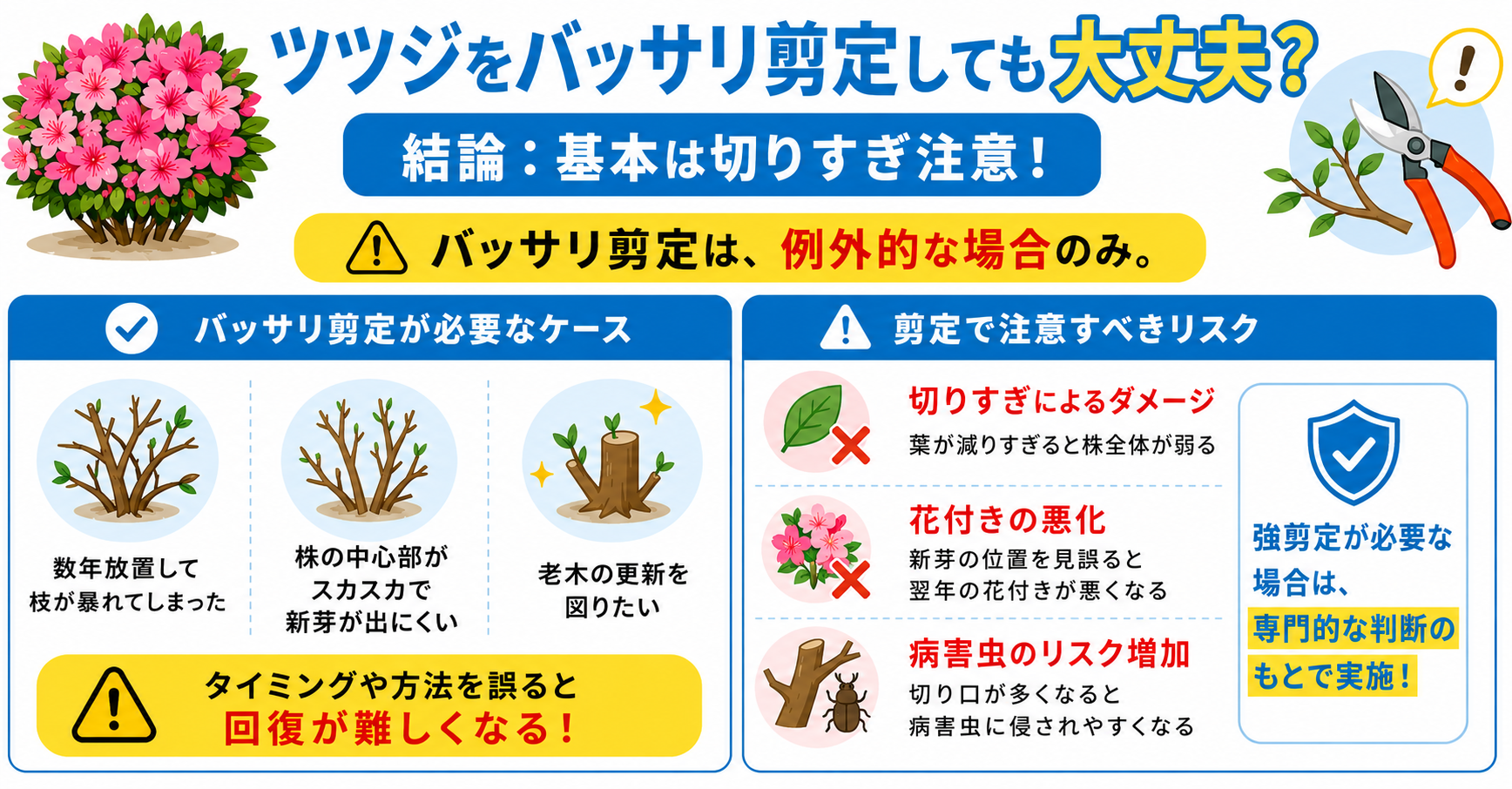 ツツジ選定の判断基準と注意点