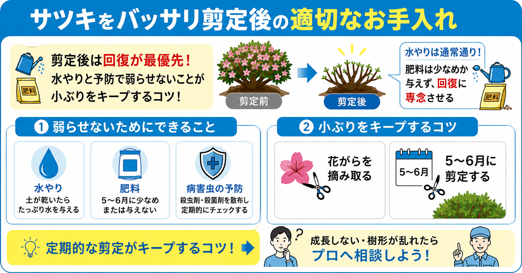 サツキをバッサリ剪定後の適切なお手入れ