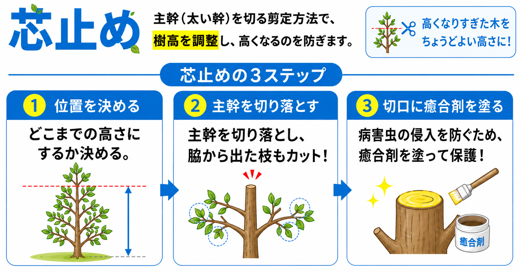 まき の 木 剪定