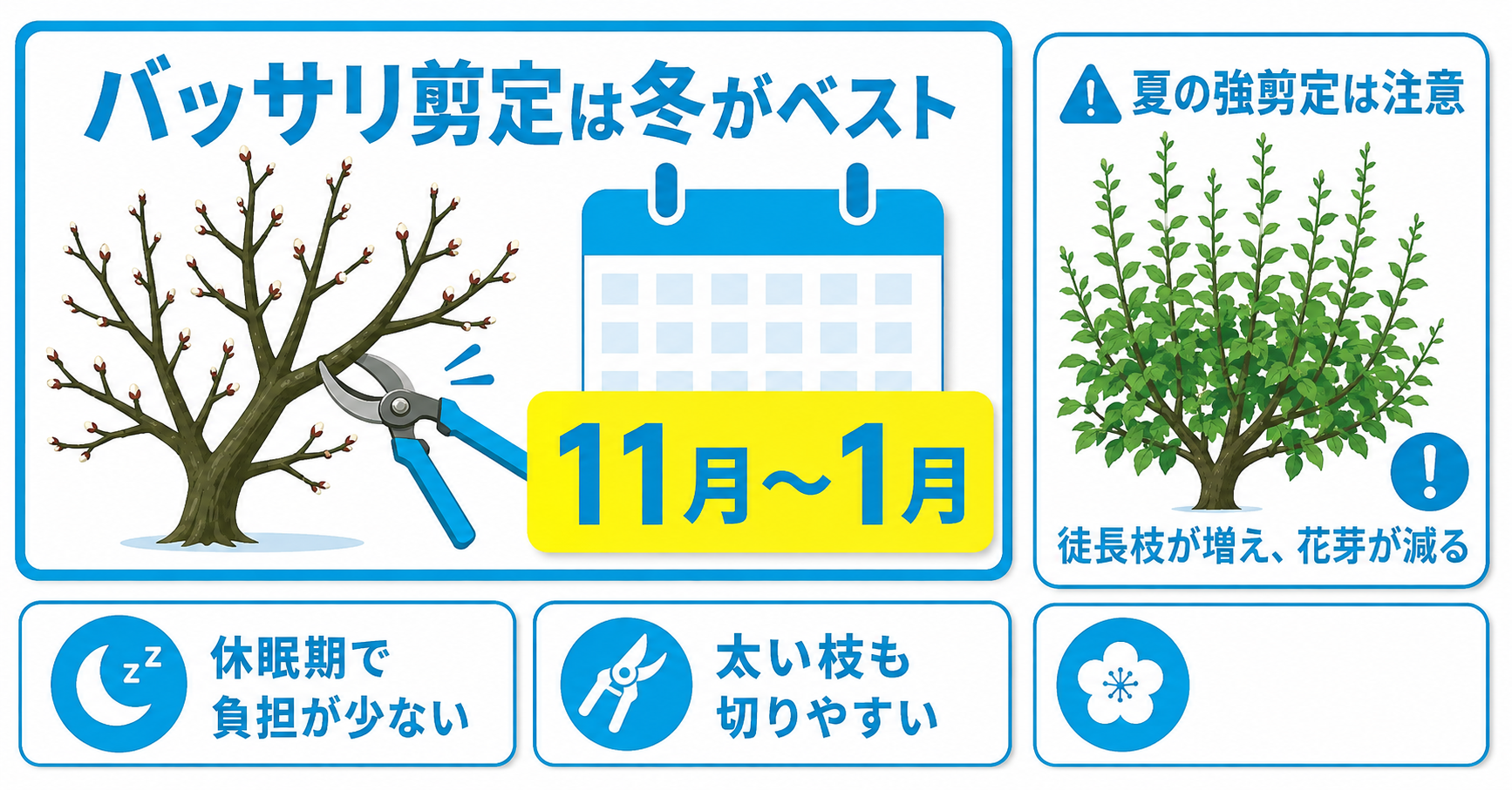 梅の剪定時期