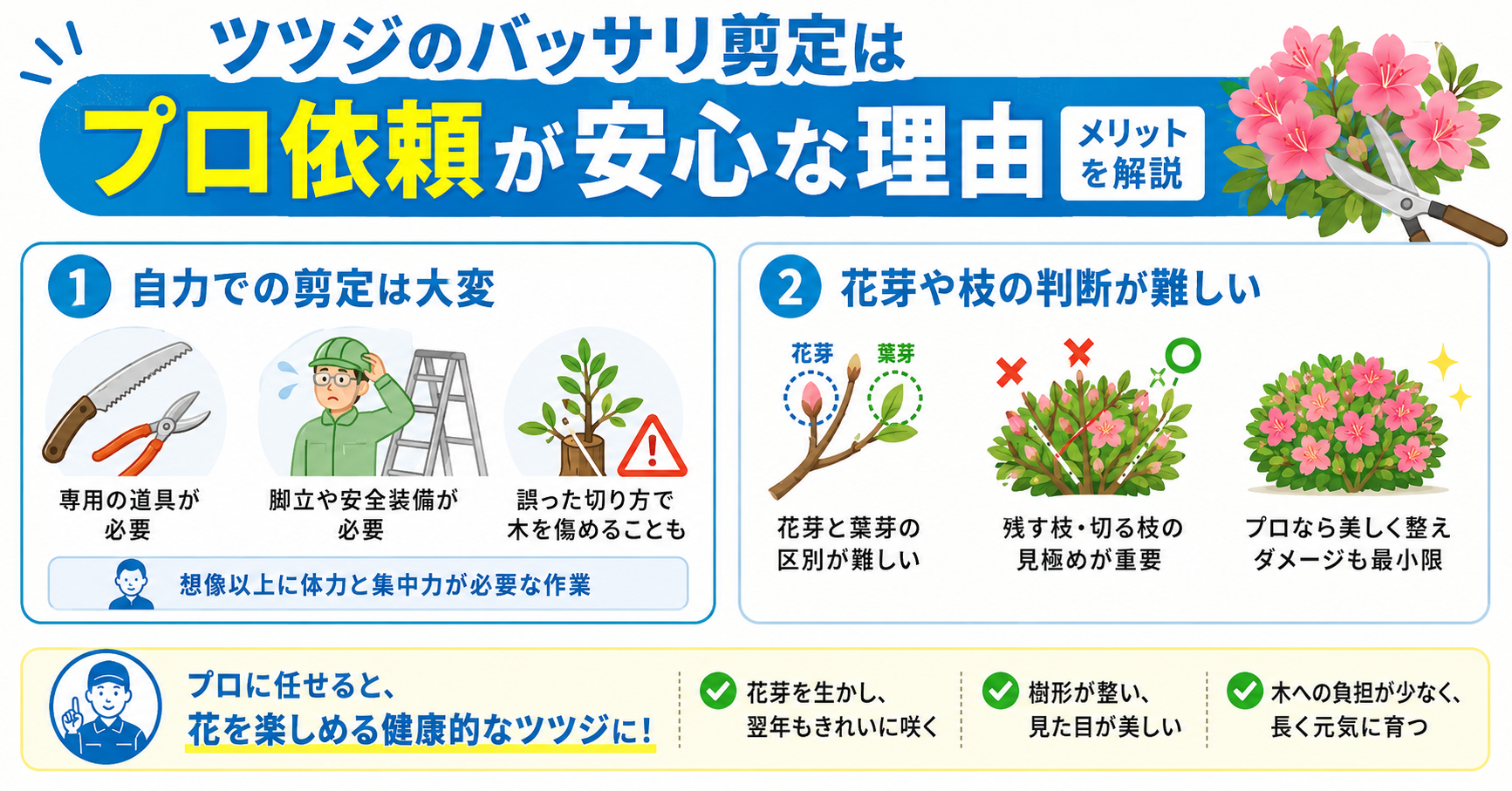 ツツジをバッサリ剪定する際にプロ依頼が安心な理由