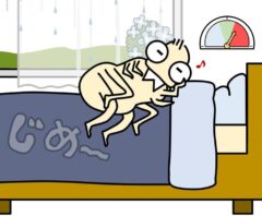 梅雨とダニ