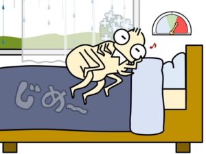 梅雨とダニ