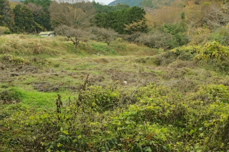 耕作放棄地の草刈りを実施
