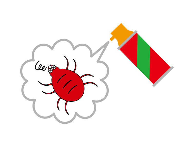 梅雨にダニを駆除