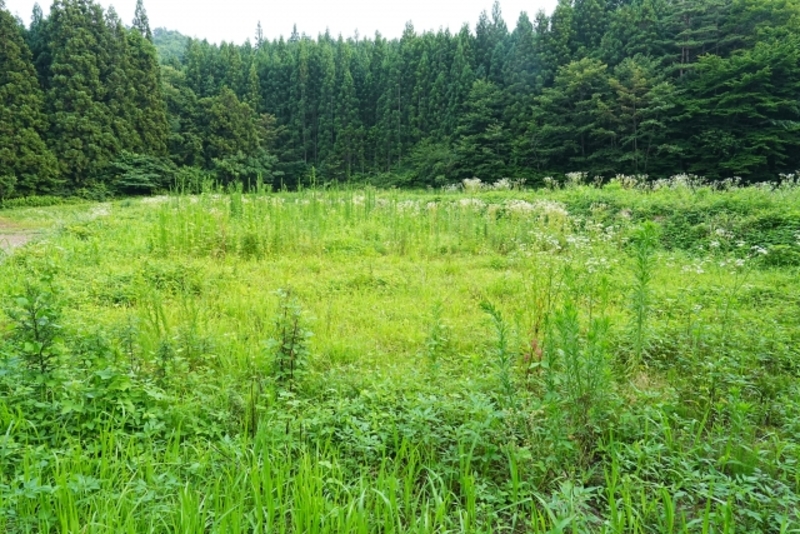 耕作放棄地の草刈りを調整