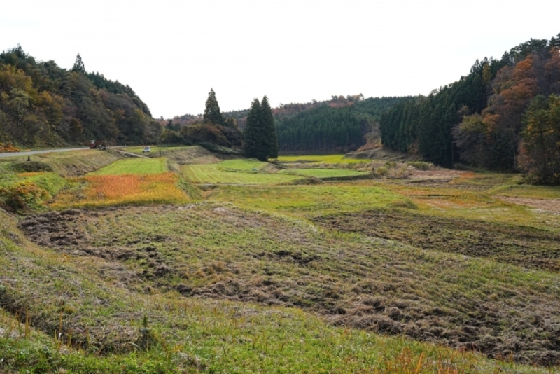 耕作放棄地の草刈りをするところ