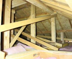 カビが発生している屋根裏