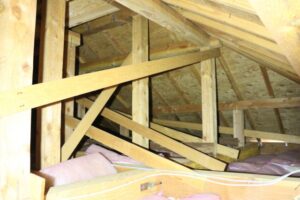 カビが発生している屋根裏