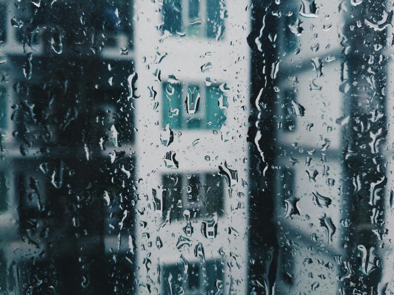 梅雨とダニの関係